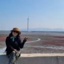 오동나무 발전소 이미지