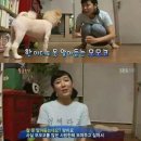 동물농장 이미지