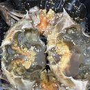 어부 살꽃게 이미지