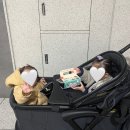 F2 | 폼포라 웨건 F2 내돈내산 사용후기