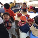 김경희농장 이미지