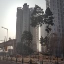 서구-01-23 이미지