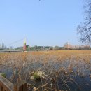 덕진공원(후문) 이미지