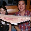 방어진낚시 이미지