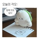 5월 일상 마무리(올영, 조이 그릭요거트, 초코멜로, 붐짜라붐, 안양천)