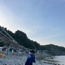 울진지중해 이미지