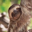 인하쿠나마타타 이미지