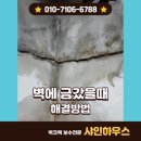 벽에 금이 갔을때, 균열이 생겼을때 벽크랙 해결방법