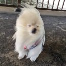 아임소호