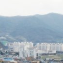 중앙시장/중앙초교 이미지