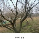 효촌2리 마을회관 이미지