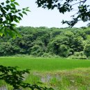 물영아리오름 이미지