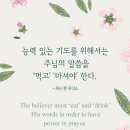 타기돈