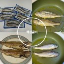 영광굴비 선물추천 해상굴비 법성포 참굴비 배송 후기 알려드려요