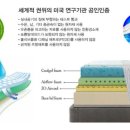 다이오(DAIO)