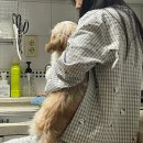 노랑통닭(면목점) | 23년 10월 시작_ 혼자가 점점 익숙해지는 요즘
