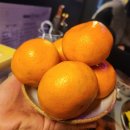 맛마루 | 구미 진평동 맛집｜쿠시카츠 안주 맛있는 술집 [맛마루] 솔직 후기