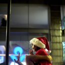 50mm 로 바라본 시드니의 크리스마스 시즌 이미지