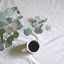 자녀 독서 취향을 분석해드립니다 -개인 맞춤형 북큐레이션 | 밀리의 서재 vs 리디셀렉트: 2025 완벽 비교