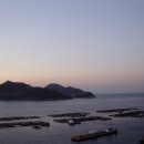 해조(海鳥)