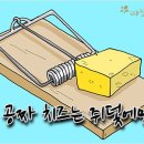 따뜻한 하루[396]■ 공짜 치즈는 쥐덫에만 이미지