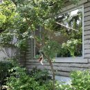 뷰편집샵 | 아현 | 내추럴리내추럴 <Dwelling> 展 식물편집샵 전시 후기