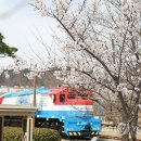 경화역 공원 1 연합뉴스
