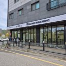 봉쥬르멍멍 이미지