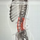 세종휘트니스 | 세종에스테틱 | “스페이스뷰티 세종나성점” AI체형분석 피트니스돔 바디관리 후기