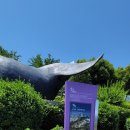 고래정원 이미지