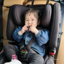 리라소프트 | 다이치 토들러 카시트 사용시기 주니어 카시트 리우 선택