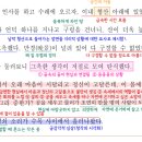 내포 장자빌딩 | 2025 서울고 2-1 기말 구운몽, 25 수특 구운몽