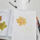 색연필 그림 | 미사 은가비 평생학습관 플라워보태니컬아트 수업｜노랑코스모스·수국 색연필 꽃그림 클래스 후기
