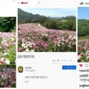 임실군청 전북도민일보