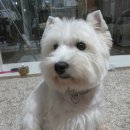 금산 캔넬 이미지