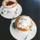 캣푸치노 이미지