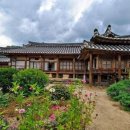 K행정사 이미지