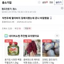 할아버지 장례식에서 현타 제대로 온 중소직장인 ㄷㄷ 이미지