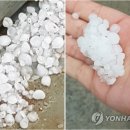 우박이네 이미지