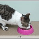 (주)동방파우텍 이미지