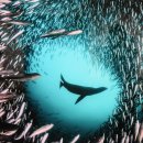 웅천지웰1차아파트_정문 | 여수 실내 가볼만한곳 추천 GS칼텍스 예울마루 내셔널지오그래픽사진전