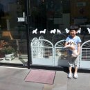 초로동물병원 이미지