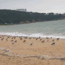 쉼 호스텔 | 네이버 톡톡 프로필 홈, 시선호스텔.월하별장 톡톡 프로필 홈 오픈