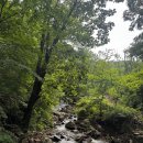 진가네양평해장국(동두천본점) | 동두천 마차산 백패킹 붉은 노을 푸른 하늘 운해 모두 잡았던 날