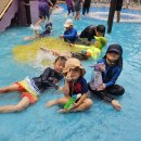 홍익태권도장 이미지