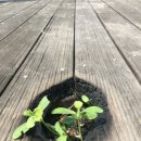 국민자동차공업사 이미지