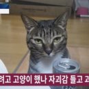 야니뷰티 - 전주시 덕진구 | 야니뷰티