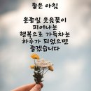 12.12화 소블리 출부~~ 이미지