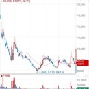 오르다옵텍 이미지