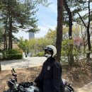 와우모터스 | [바이크 장비] 모테로스 오픈페이스 헬멧_리틀벤 아이보리 S사이즈 후기
